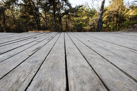sunny tourist track with boardwalks in natural environmentの写真素材