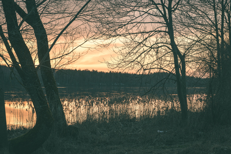 sunset over the river Daugava with dramatic colorful sky and tree silhouettes - vintage green retro effectの写真素材