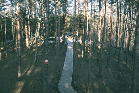 sunny tourist track with boardwalks in natural environment - vintage green retro effectの写真素材