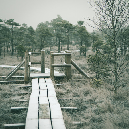 wooden boardwalk in frosty winter bog landscape with frozen nature - instant vintage square photoの写真素材