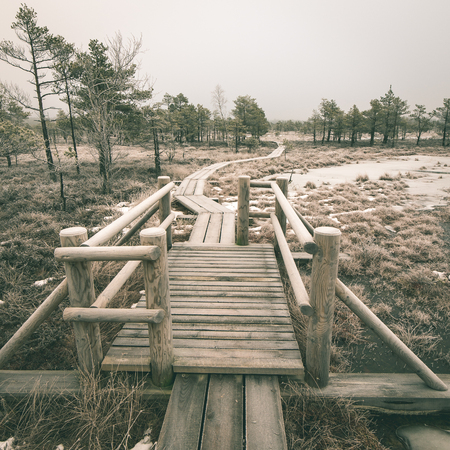 wooden boardwalk in frosty winter bog landscape with frozen nature - instant vintage square photoの写真素材