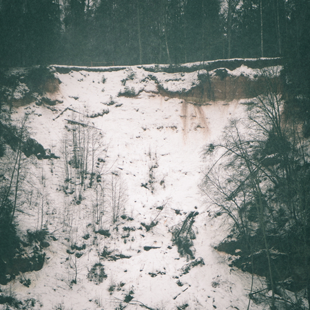 snowy winter forest landscape with snow covered trees in country - instant vintage square photoの写真素材