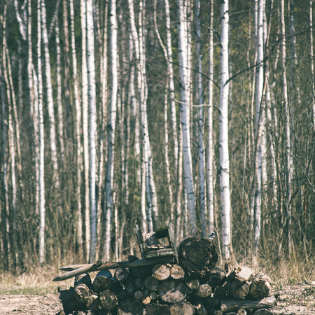 pile of fire wood in countryside landscape view besides forest - instant vintage square photo