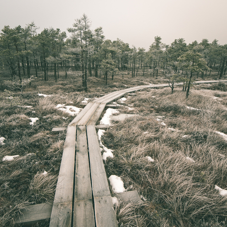 wooden boardwalk in frosty winter bog landscape with frozen nature - instant vintage square photoの写真素材