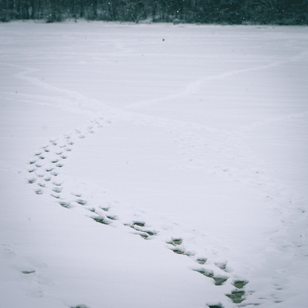 fisherman tracks on the iced river in winter - instant vintage square photoの写真素材