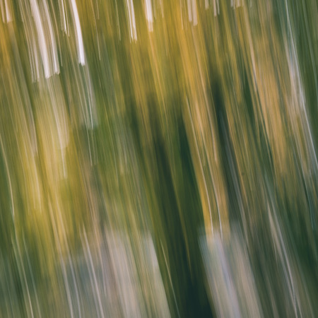 abstract blur background. autumn colors of nature - instant vintage square photoの写真素材
