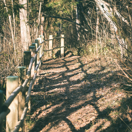 sunny tourist trail in the woods in autumn at the countryside - instant vintage square photoの写真素材