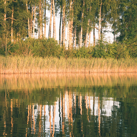 symmetric reflections on calm lake water with forests and islands - instant vintage square photoの写真素材
