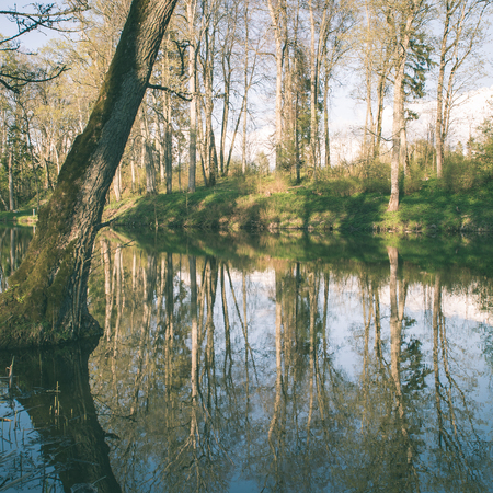 scenic and beautiful reflections of trees and clouds in water of the river - instant vintage square photoの写真素材