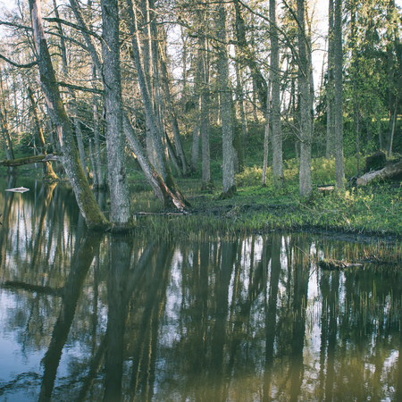 scenic and beautiful reflections of trees and clouds in water of the river - instant vintage square photoの写真素材