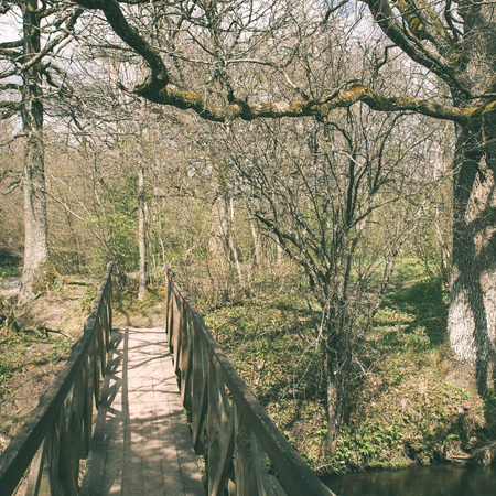 sunny tourist trail in the woods in spring at the countryside - instant vintage square photoの写真素材