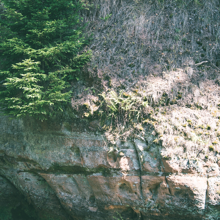 sandstone cliffs on the river shore in the Gaujas National Park, Latvia - instant vintage square photoの写真素材