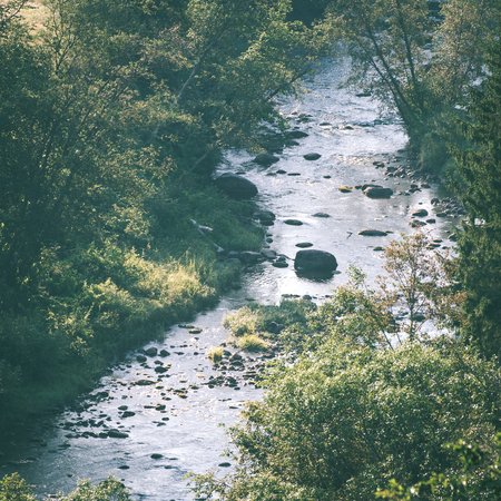 view to the mountain river in summer surrounded by forest and sandstone cliffs - instant vintage...