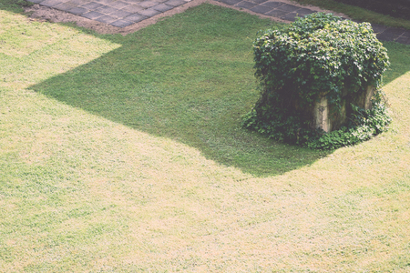 green lawn with shadows and pipes. garden - retro, vintage style lookの写真素材
