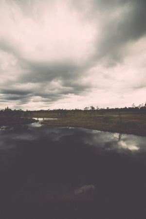swamp view with lakes and footpath - retro, vintage style lookの写真素材