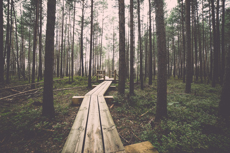 swamp view with lakes and footpath. Vintage effect.の写真素材