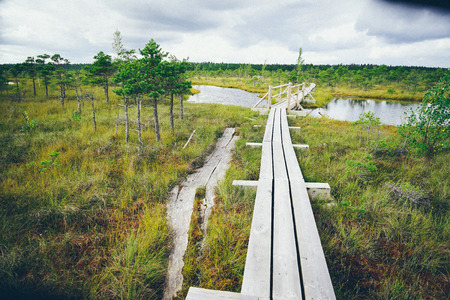 swamp view with lakes and footpath. Vintage photography effect. Retro grainy color film look.の写真素材
