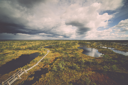 swamp view with lakes and footpath. Vintage effect.