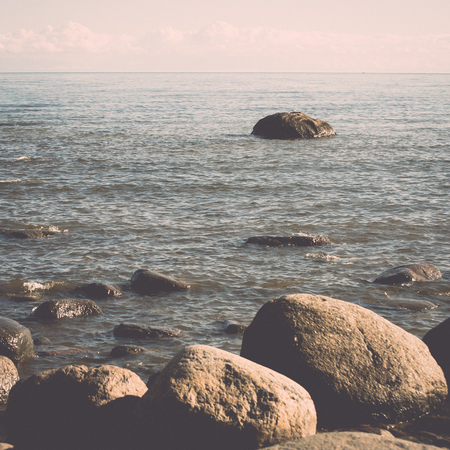 rocky beach in the baltic sea with plants and skyline - retro, vintage style lookの写真素材