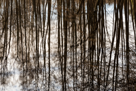 abstract reflections of beautiful trees in the lake water at summerの写真素材