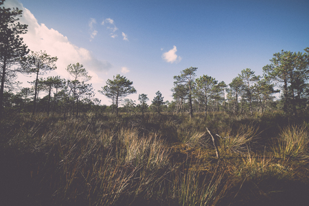 Country landscape under morning sky with clouds. Overcast sky before storm. - retro, vintage style lookの写真素材