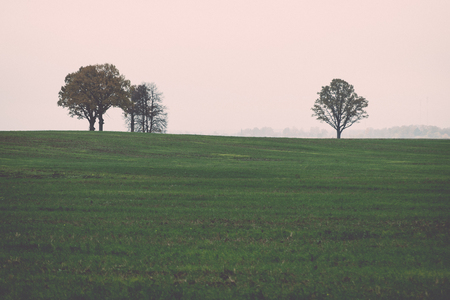 green field with trees in the autumn in country - retro, vintage style lookの写真素材