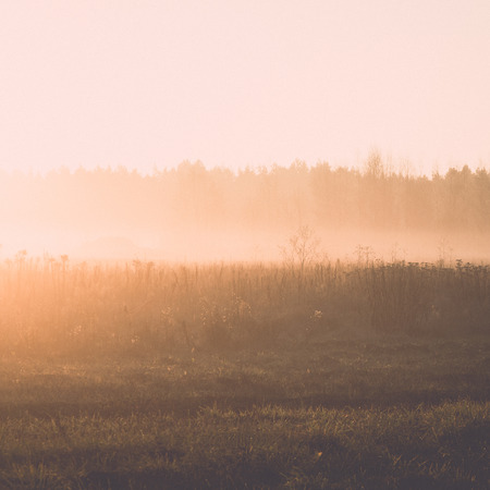 beautiful misty meadow in the morning frost in country - retro, vintage style lookの写真素材