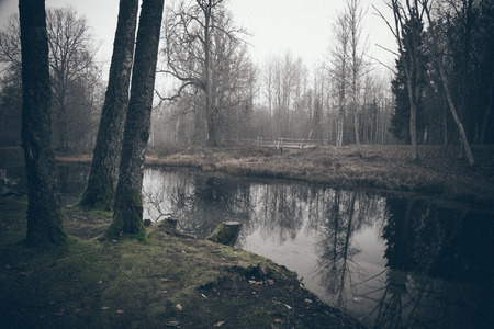 clear morning by small lake with reflections in latvia. Vintage photography effect.Retro grainy...