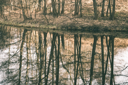 abstract reflections of beautiful trees in the lake water at summer - vintage green lookの写真素材