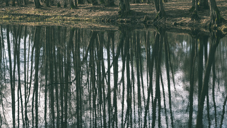 abstract reflections of beautiful trees in the lake water at summer - vintage green lookの写真素材