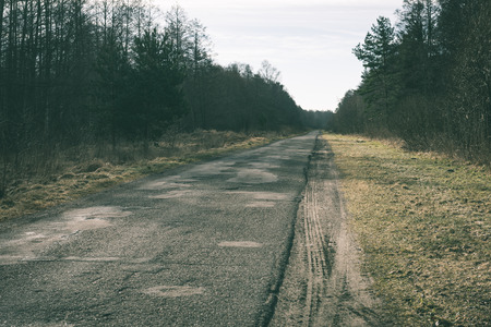 empty country road in spring forest with perspective and shadows - vintage green lookの写真素材