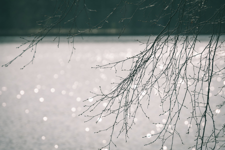 view to the mountain river in summer surrounded by forest and blurred background water rings - vintage green lookの写真素材