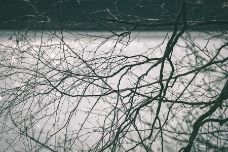 view to the mountain river in summer surrounded by forest and blurred background water rings - vintage green lookの写真素材