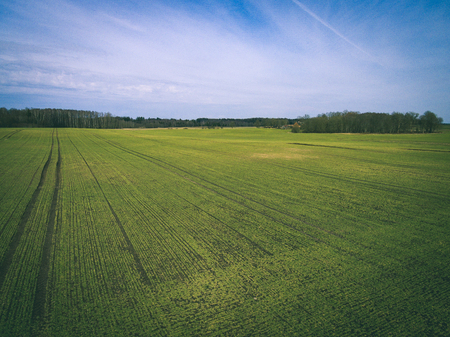 drone image. aerial view of rural area with freshly green fields, country roads and tractor tracks -...