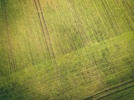 drone image. aerial view of rural area with freshly green fields, country roads and tractor tracks -...