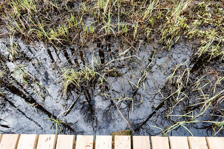 wooden footbridge in the bog in the countryside surrounded by forestの写真素材