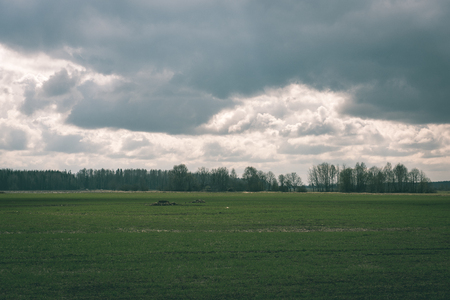 bright fresh fields in country under blue sky with white storm clouds - vintage film effectの写真素材