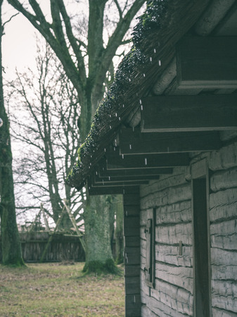 Abandoned ruins of old wooden building in latvia countryside - vintage green lookの写真素材