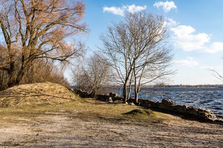 reflections of trees in the river water in springの写真素材