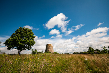 bright fresh fields in country under blue sky with white storm clouds