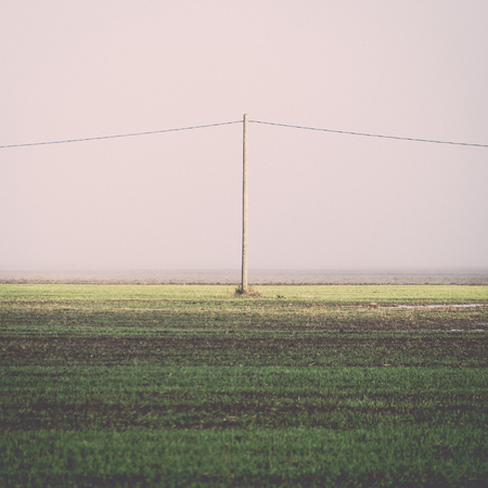 beautiful green meadow in heavy mist with lonely trees - retro, vintage style lookの写真素材