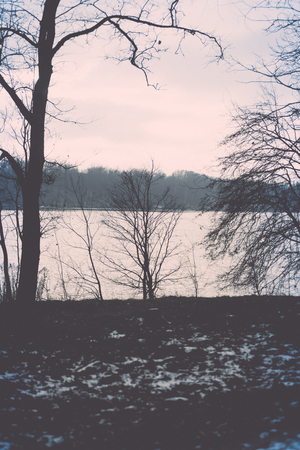 icy rural landscape with trees and land in countryside. retro vintage film polaroid effectの写真素材