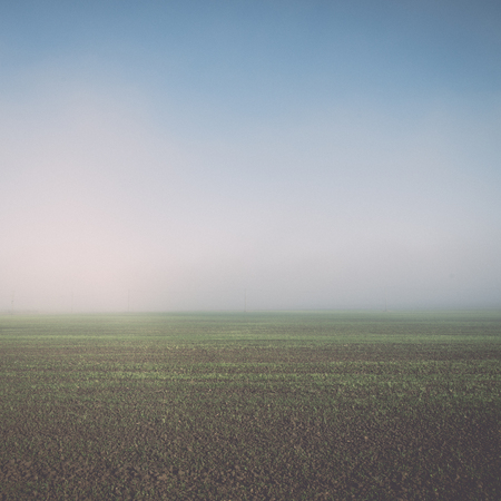 beautiful green meadow in heavy mist with lonely trees - retro, vintage style lookの写真素材