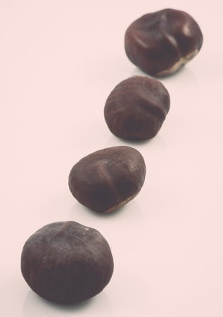 chestnut core isolated on white background. vintage grainy retro style film effectの写真素材