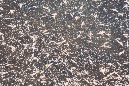 close-up frozen snowflakes abstract in winter - retro vintage effectの写真素材