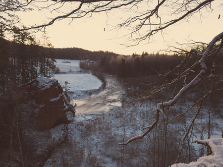 snowy winter forest with snow covered trees in country - retro vintage style lookの写真素材