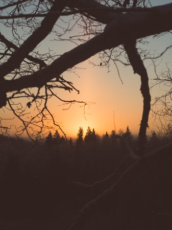 beautiful dark colorful sunrise over forest in winter frost - retro vintage style lookの写真素材