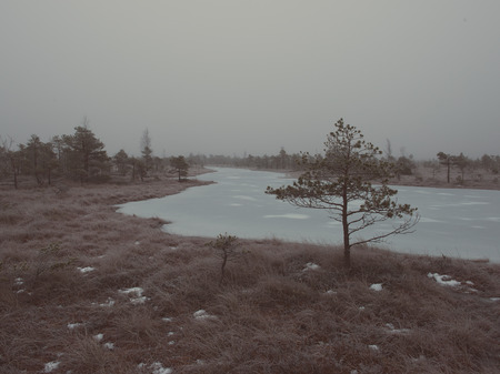 snowy landscape in frosty winter bog in country side - aged photo effect, vintage retroの写真素材