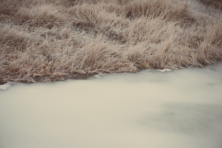 frozen abstract textures in ice with frosty plants - aged photo effect, vintage retroの写真素材