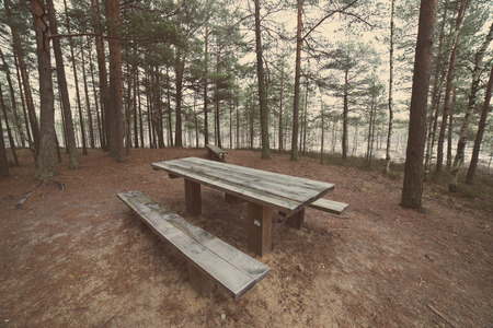 tourist trail in winter forest with snow covered trees in country - aged photo effect, vintage retroの写真素材